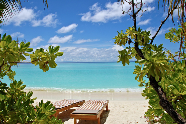 Vista de dos sillas en la playa
 - Foto, Imagen