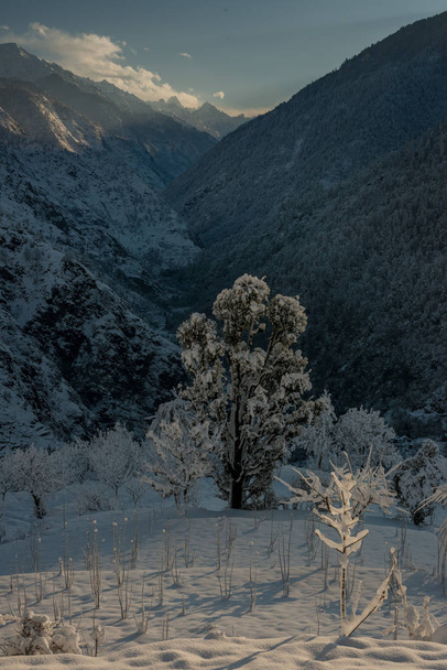 Фото величественного зимнего пейзажа в Гималаях - Индия
 - Фото, изображение