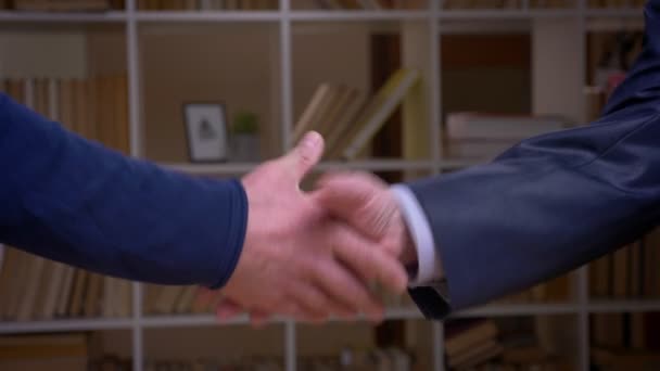 Close-up shot of two old business partners shake hands on the bookshelves background. - Footage, Video
