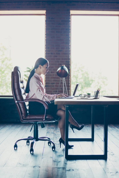 Vertical profile side view of her she nice attractive elegant trendy stylish lady shark founder writing email preparing creating finance report at industrial loft style interior work place station - 写真・画像