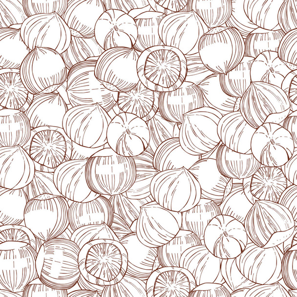 Hand drawn nuts. Hazelnut. - Vector, Image