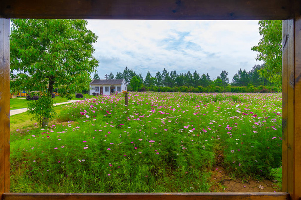 武漢、湖北省、中国のムーラン草原名勝の初夏の風景 - 写真・画像