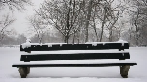 雪に覆われた席 - 映像、動画