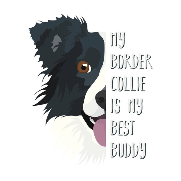 Meilleur ami Border Collie
 - Vecteur, image