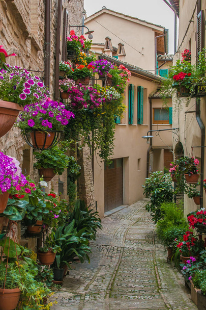 Romantic view of Spello medieval village with flowering balcony in Umbria - Foto, Bild