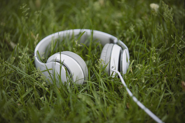 White headphone in the grass - 写真・画像