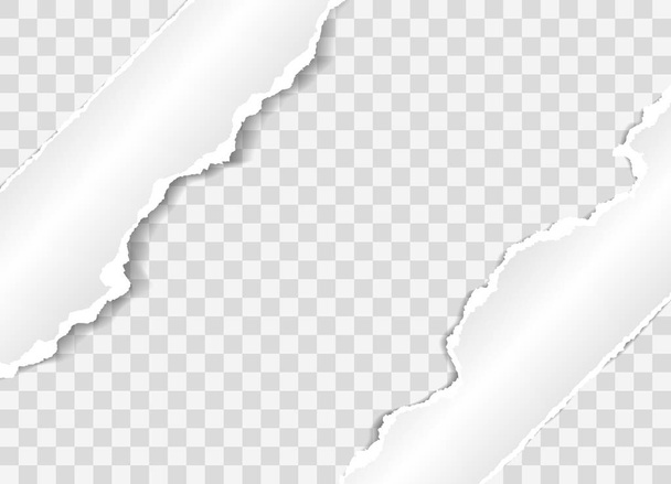 Les bandes de papier horizontales blanches déchirées sont sur fond carré. Illustration vectorielle
 - Vecteur, image