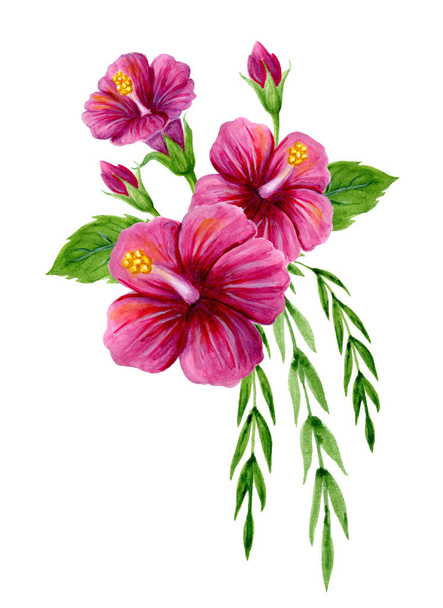 Hand drawn watercolor painting  with pink Chinese Hibiscus rose  - Фото, зображення