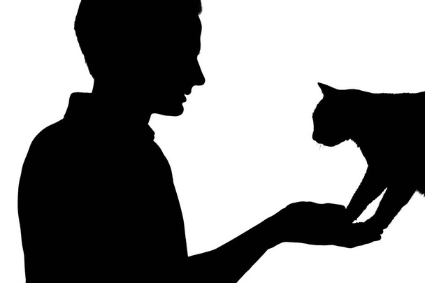 silhouette of a boy with a cat, man looking at the pet on white isolated background - Valokuva, kuva