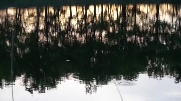 zonsondergang over de rivier in de stralen van de avondzon. - Video