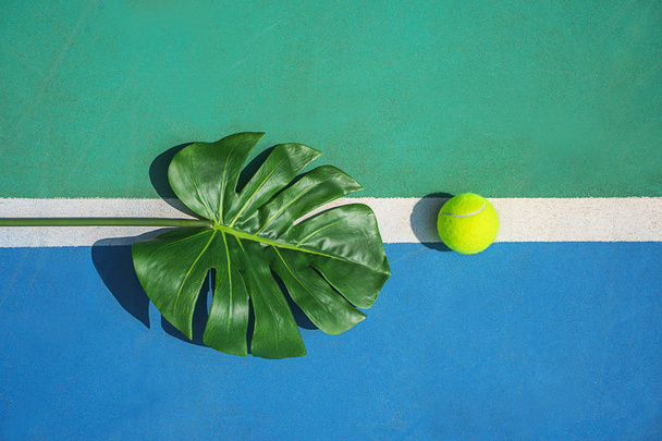 Tennis summer concept with green monstera leaf and ball, racquet on hard tennis court. - Foto, afbeelding