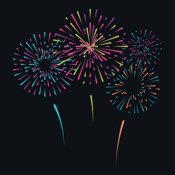 Vector illustration with different colorful fireworks on dark background - Vector, Image