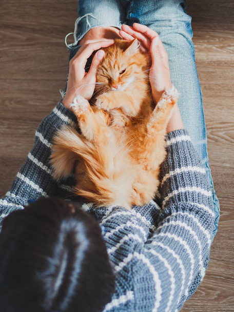 Cute ginger cat dozing on woman knees. Woman in torn jeans stroking her fluffy pet. Cozy home. Top view. - Fotoğraf, Görsel