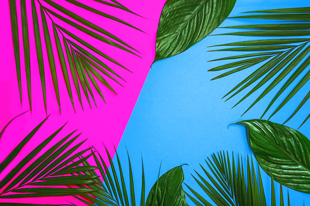 Tropical green palm leaves on colorful background. Pink purple and blue colors. - Zdjęcie, obraz