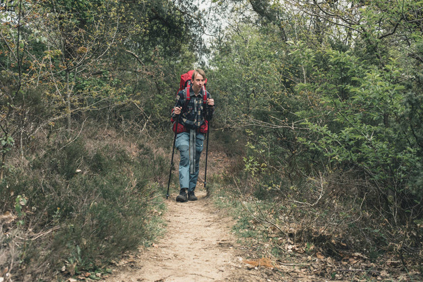 Turystyka Backpacker na chodnik w lesie wiosną. - Zdjęcie, obraz