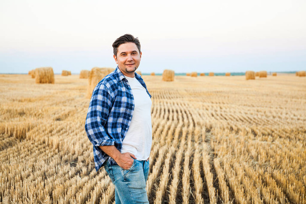 小麦の分野で農業を成功させました。収穫時間 - 写真・画像