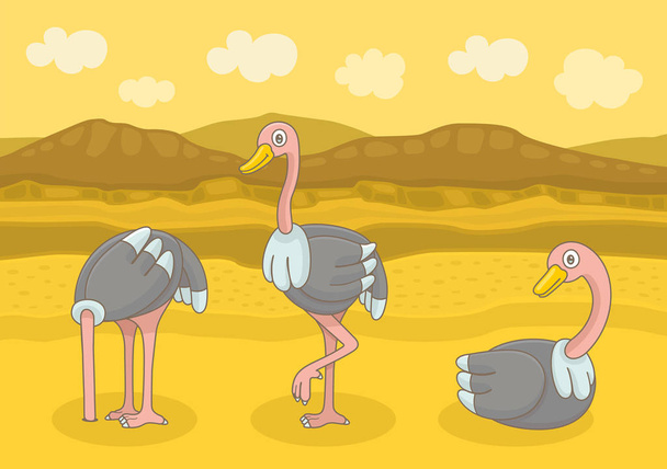 Drie verschillende struisvogels. Grappige cartoon en vector illustratie - Vector, afbeelding