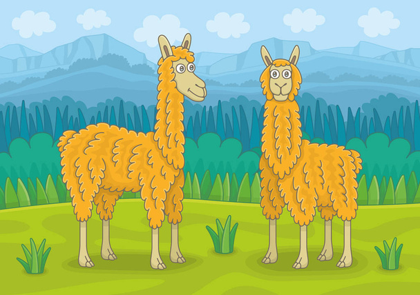 Two llamas in mountain meadow. Funny cartoon and vector illustration - Vector, Image