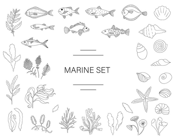 Vector  black and white set of fish, sea shells, seaweeds - Vector, Image
