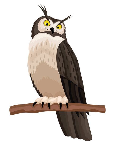 Owl sitting on a branch on a white background. - Vector, Image