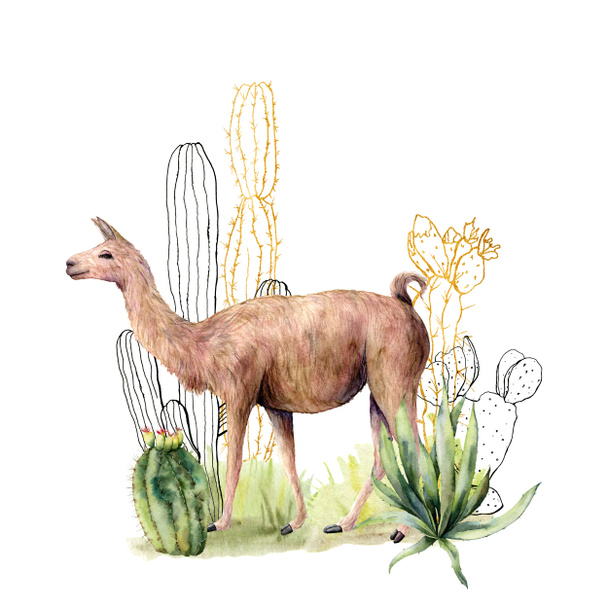 Watercolor and sketch card with llama and cacti. Hand painted floral collection with desert cacti, agava and lama. Illustration isolated on white background for design, print, fabric or background. - Fotoğraf, Görsel