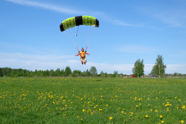 Swoop skydiving. Bir paraşütçü yüksek performanslı paraşütü uçuruyor.. - Fotoğraf, Görsel