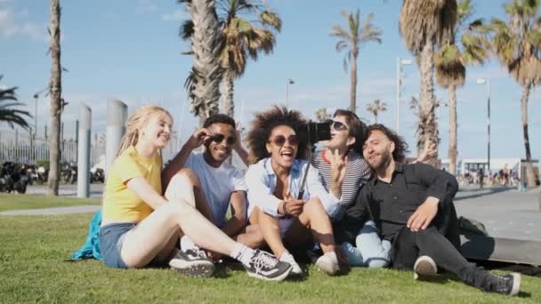 Smějící se přátelé berou selfie na louku - Záběry, video