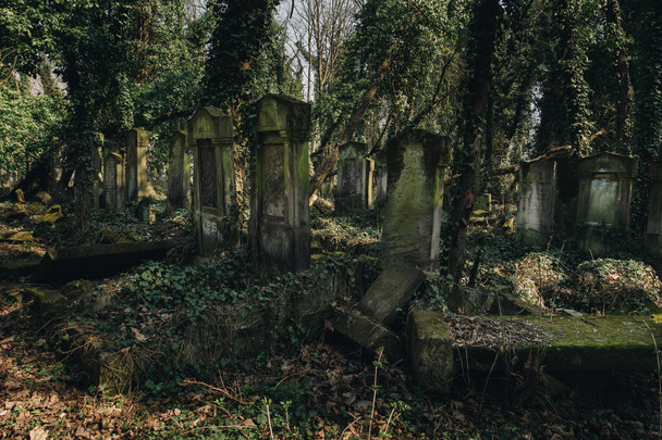 oude Joodse begraafplaats - Foto, afbeelding