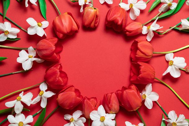 Concepto vacaciones de primavera. Marco de hermosos tulipanes rojos y flores de narciso sobre un fondo rojo
 - Foto, Imagen