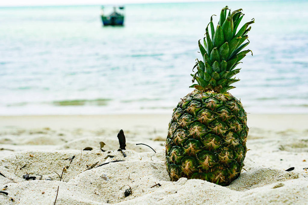 Pineapple  on the sand near the tropical coast.Sea view - Photo, Image