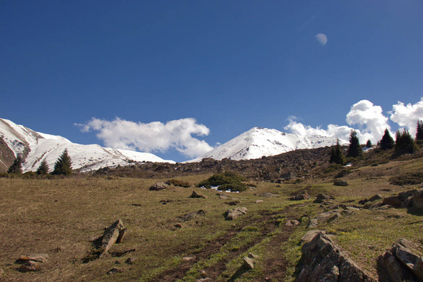 Ορεινά τοπία του Κιργιζιστάν. Η άνοιξη στα βουνά. - Φωτογραφία, εικόνα