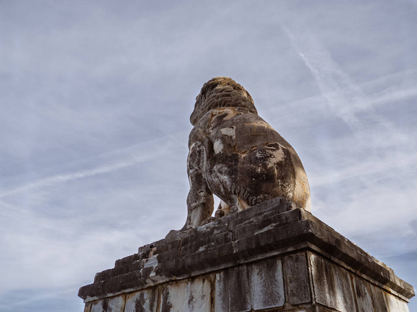 Το όμορφο λιοντάρι της Αμφίπολης, του 4th αιώνα-πίσω όψη - Φωτογραφία, εικόνα