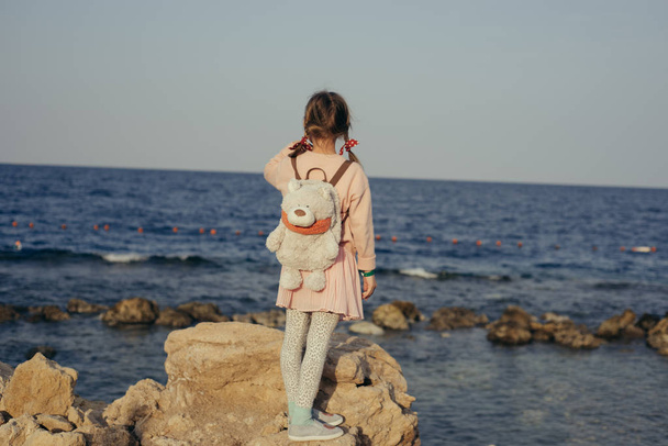 rear view of little girl standing on rock on sea background  - Foto, afbeelding