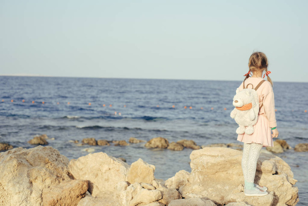 rear view of little girl standing on rock on sea background  - Фото, зображення