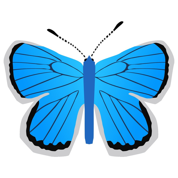 青い蝶の銀をちりばめた - ベクター画像