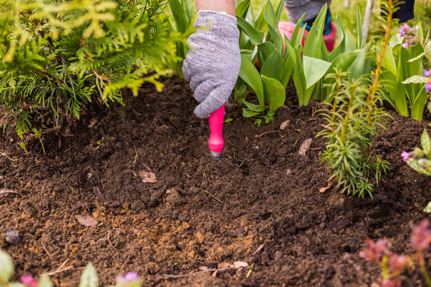 Widok z rąk womans kopiące chwastów w ogrodzie w gorącym letnim dniu, pielenie trawy, ogród i sprzątanie pracy w ogrodzie w przygotowaniu gleby wiosną. Ręka ogrodnik z narzędziem motyka - Zdjęcie, obraz