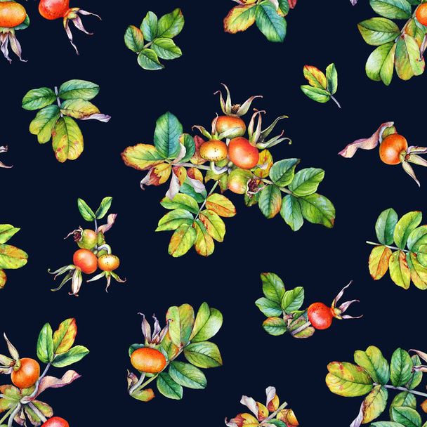 Seamless pattern with watercolor branches of a rose hip plant on a dark blue background - Foto, Imagen