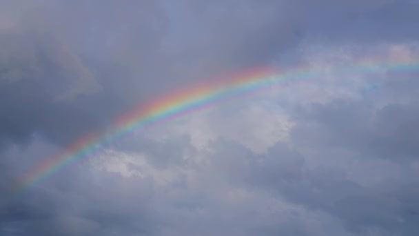 Regenboog in de lucht na de zomer regen in de tropen - Video