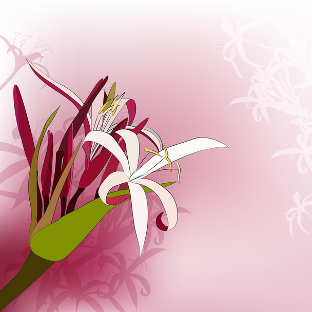 fond floral abstrait - Vecteur, image