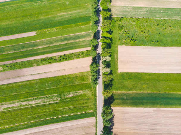 aerial view of farming fields - Fotoğraf, Görsel