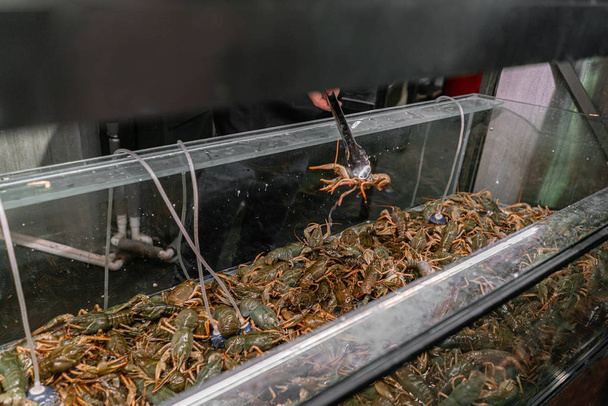 O traficante tira o lagostim da água. Caranguejo, lagostim, ostras para venda em um aquário de água no mercado de rua na França. Conceito de frutos do mar
. - Foto, Imagem