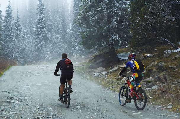 dwóch rowerzystów górskich we mgle na górze - Zdjęcie, obraz