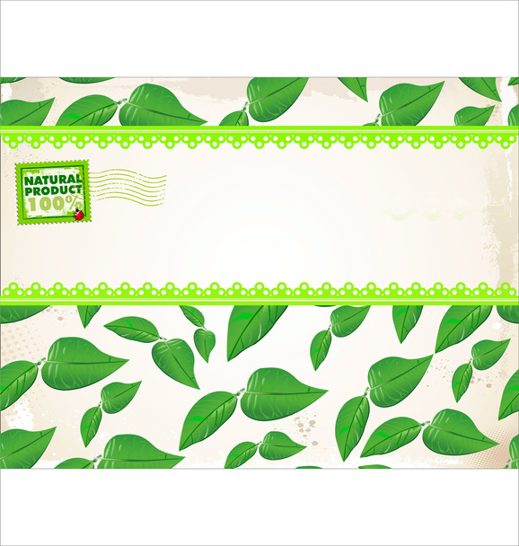 Fresh green leaves background - Vector, Image