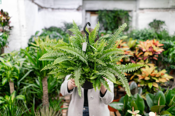 Eine junge Frau mit einer Nephrolepis-Pflanze, Farn, wählt eine Pflanze für das Haus. sich hinter ihm versteckt. viele verschiedene Pflanzen in Blumentöpfen in Blumen speichern. Gartencenter und Großhandelskonzept. - Foto, Bild