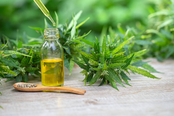 CBD oil hemp products, Medicinal cannabis with extract oil in a  - 写真・画像