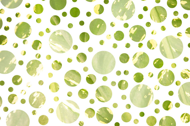Abstrakti pilkkukuvio vihreillä pisteillä
 - Valokuva, kuva
