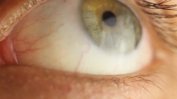 knipperende mannelijk oog close-up rondkijken. rode slagader op de oogbol macro. pupil reactie op licht. Mioz en Midriaz. sluiten en openen van het ooglid - Video