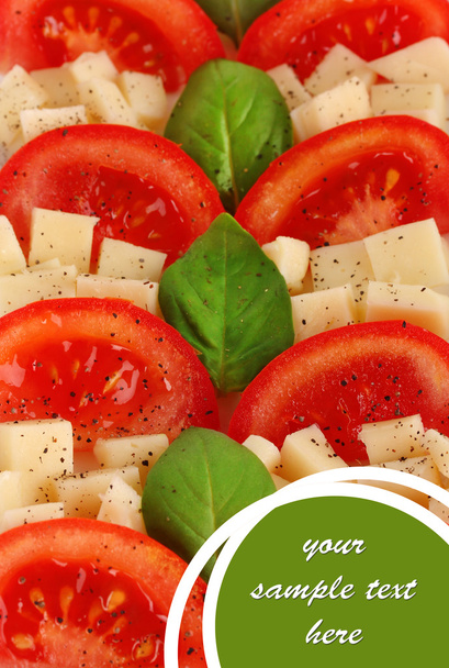 Cheese mozzarella with vegetables in the plate close-up - Foto, imagen