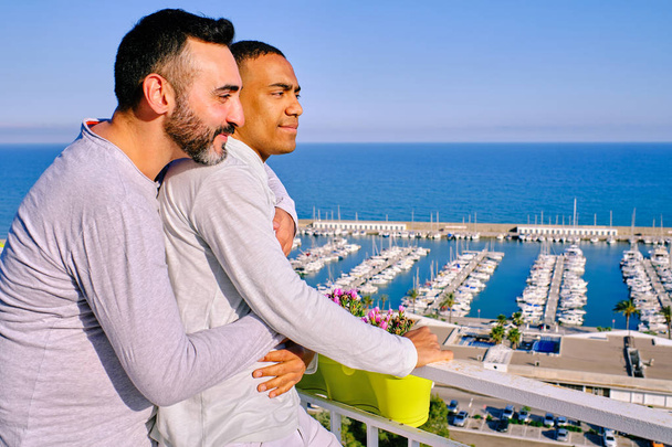 ένα ζευγάρι των διαφυλετικός γκέι άνδρες - Φωτογραφία, εικόνα