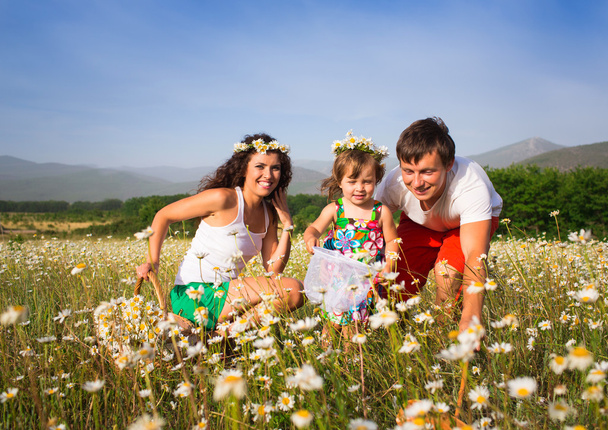 Family on the meadow - Foto, afbeelding